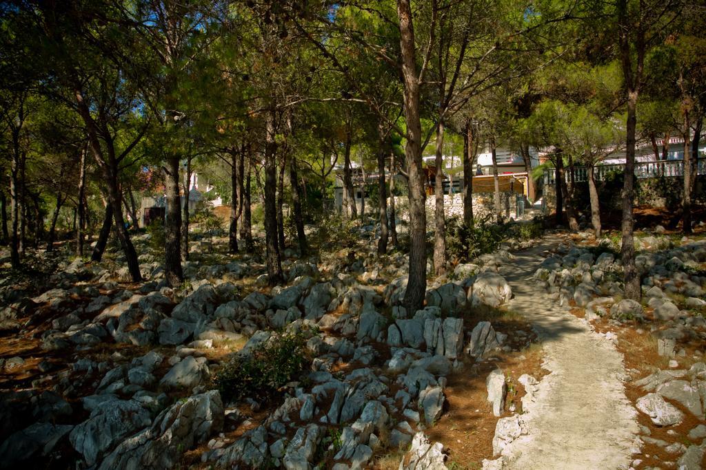 Apartments Vrgada Drage Dış mekan fotoğraf
